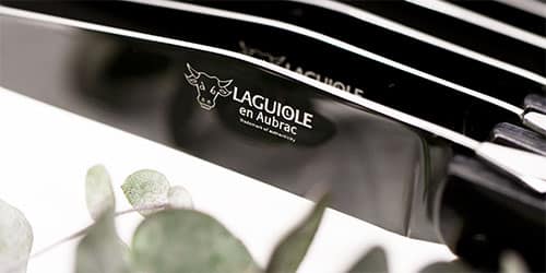 couteaux-titane-laguiole-aubrac